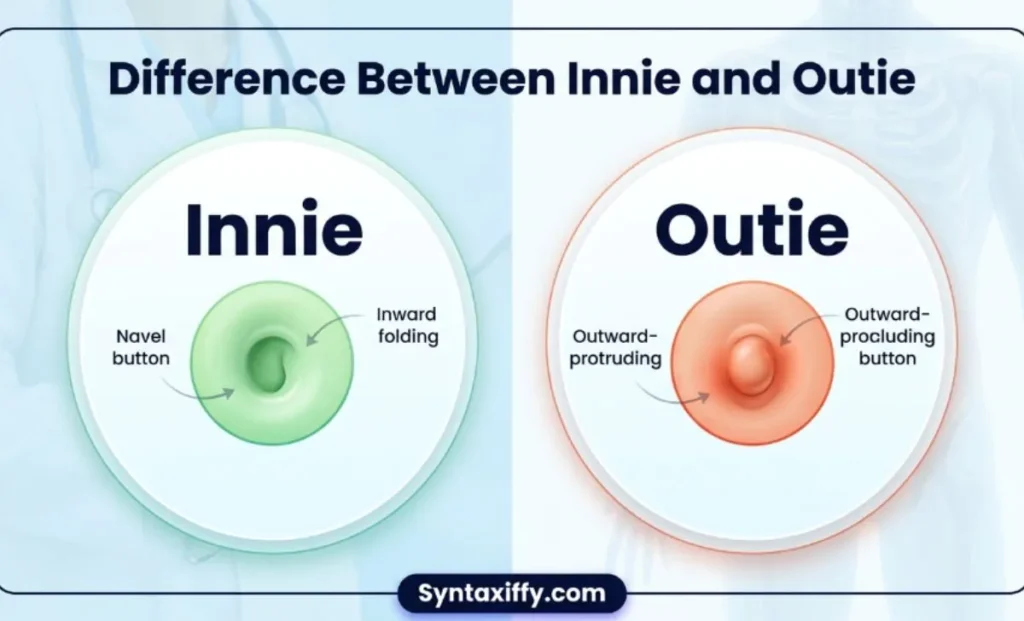Difference Between Innie and Outie