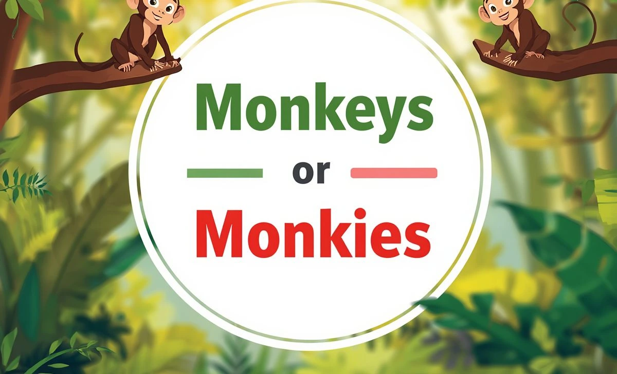 Monkeys or Monkies
